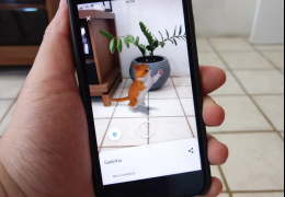 Gatos e cachorros chegam à busca de animais 3D do Google