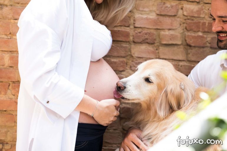 Cachorros sabem quando uma mulher está gravida?
