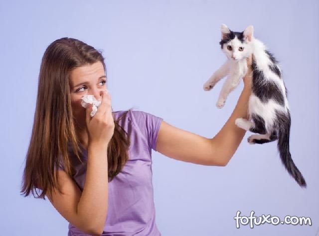 Ração para gatos promete resolver problemas de alergias em humanos