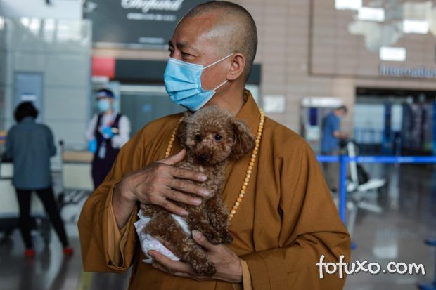 Monge chinês resgata mais de 8 mil cachorros das ruas