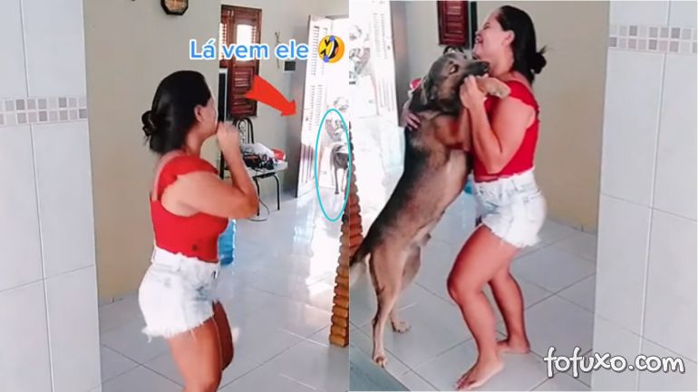 Cachorro dançarino faz sucesso em vídeos do TikTok