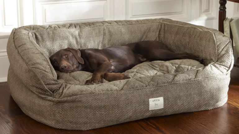 6 benefícios das camas de cachorros para pets e tutores