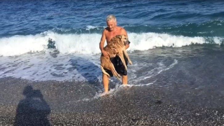 Homem leva cachorro idoso e imóvel para conhecer o mar