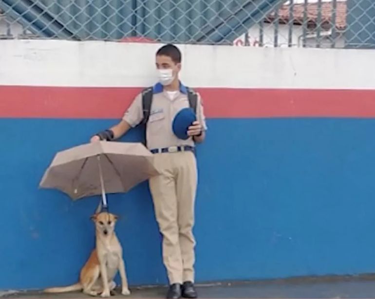 Estudante viraliza ao proteger cão com guarda-chuva