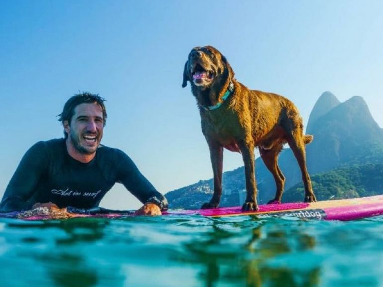 Cachorro surfista se consagra campeão 
