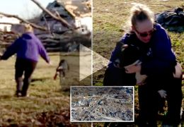 Mulher encontra cachorro vivo depois de tornado nos EUA