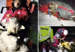 Cão ajuda no resgate de alpinista ferido