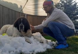 Cachorro com câncer terminal brinca na neve pela última vez
