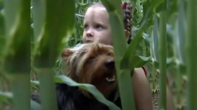 Cachorro ajuda menina de 3 anos desaparecida