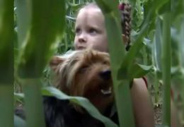 Cachorro ajuda menina de 3 anos desaparecida