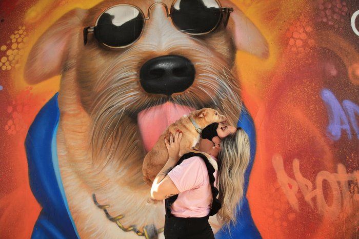 Cachorro paraplégico ganha mural em viaduto de Porto Alegre