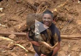 Repórter se emociona ao narrar resgate de cachorro em Petrópolis