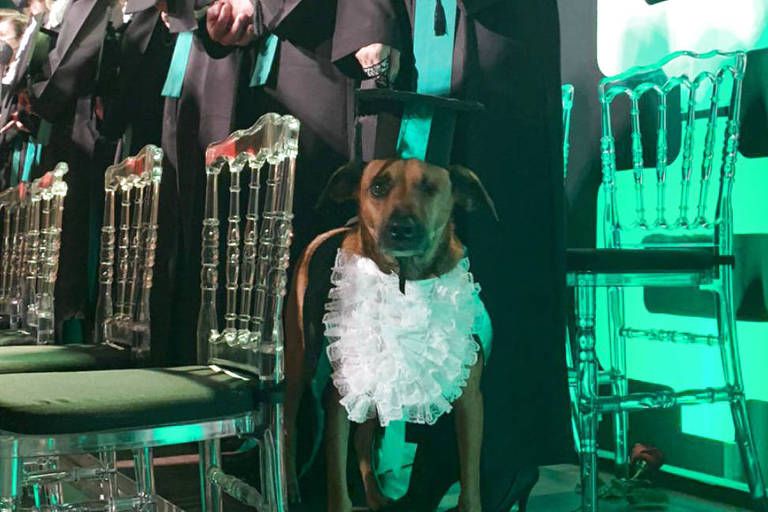 Cachorro é convidado de honra em formatura de universitários em SC