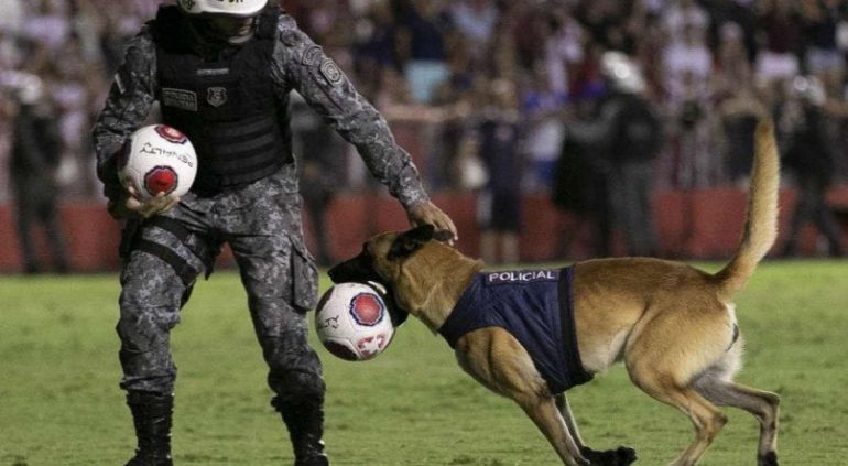 Cachorro invade partida de futebol no Pernambuco