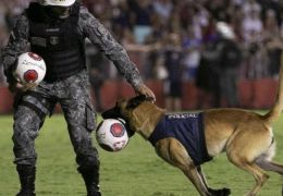 Cachorro invade partida de futebol no Pernambuco