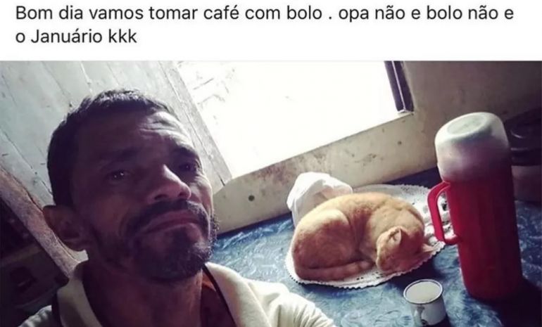 Gato famoso pelo meme “opa não é bolo” morre no Ceará