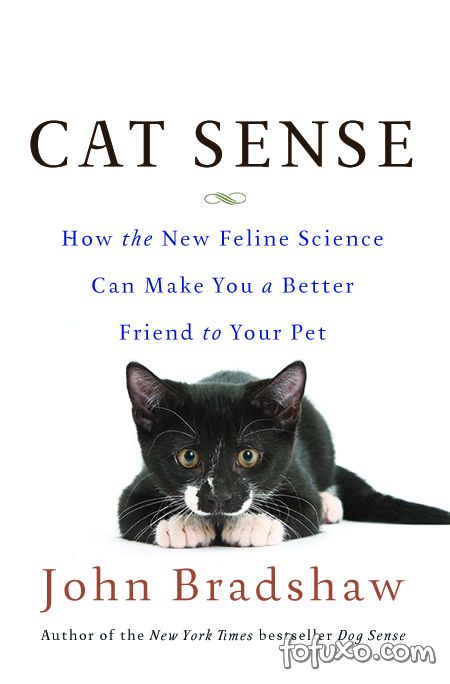 Livro afirma que gatos pensam que donos também são gatos