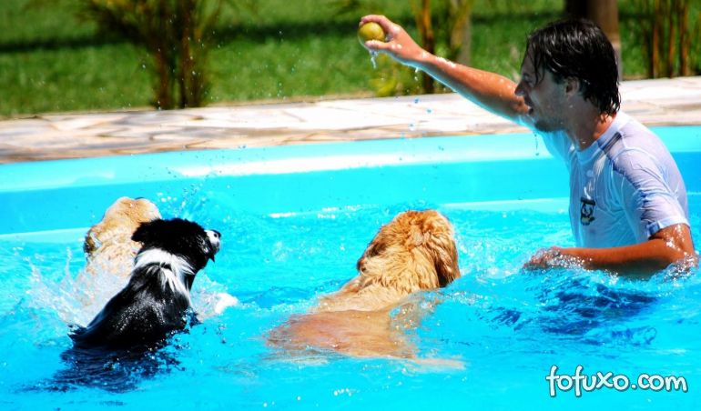 Cachorro com treinador na piscina