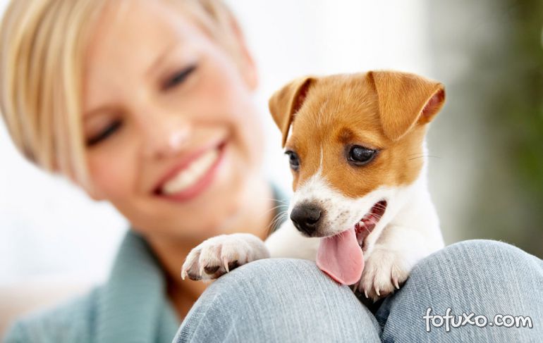 Estudo revela que tratar cães como filhos é normal