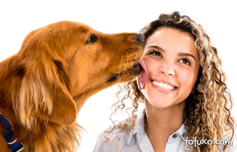 Estudo revela que cachorros refletem a personalidade dos seus donos