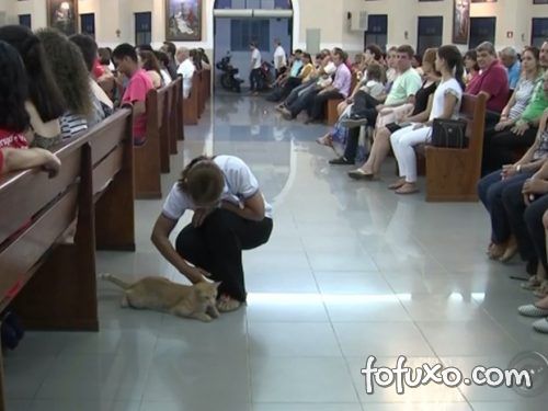 Gato é adotado por igreja e recebe doações dos fiéis