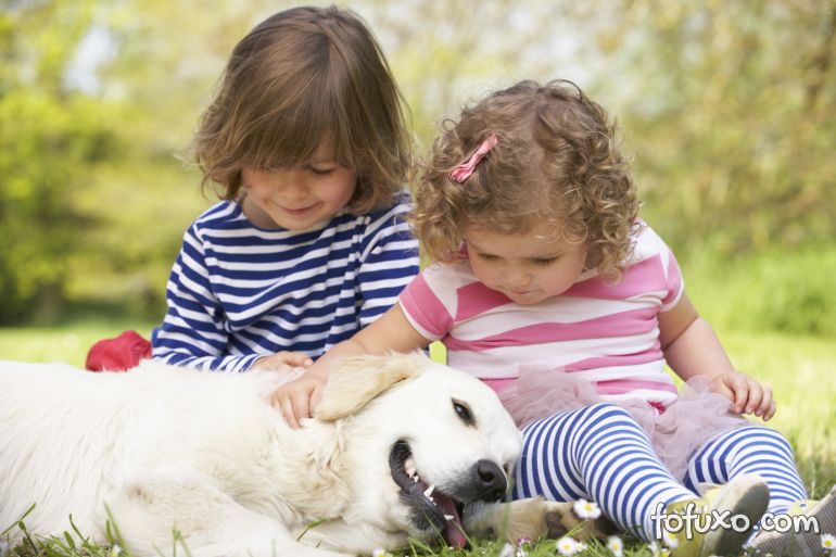 Cães ajudam a reduzir casos de alergia e obesidade em crianças