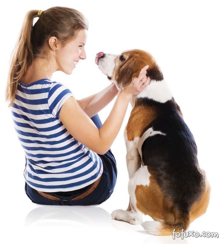 Benefícios da conversa com os cães
