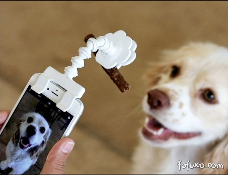 Conheça o acessório que promete ajudar a tirar fotos de cães com o celular