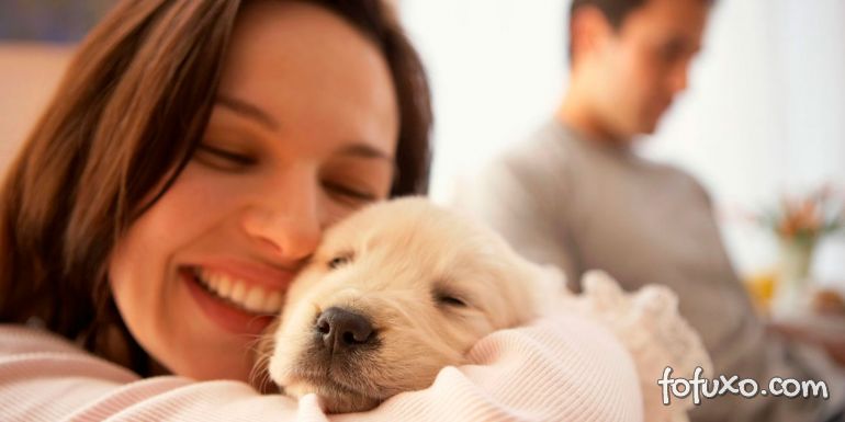 Estudo explica o amor que os cachorros sentem pelos donos
