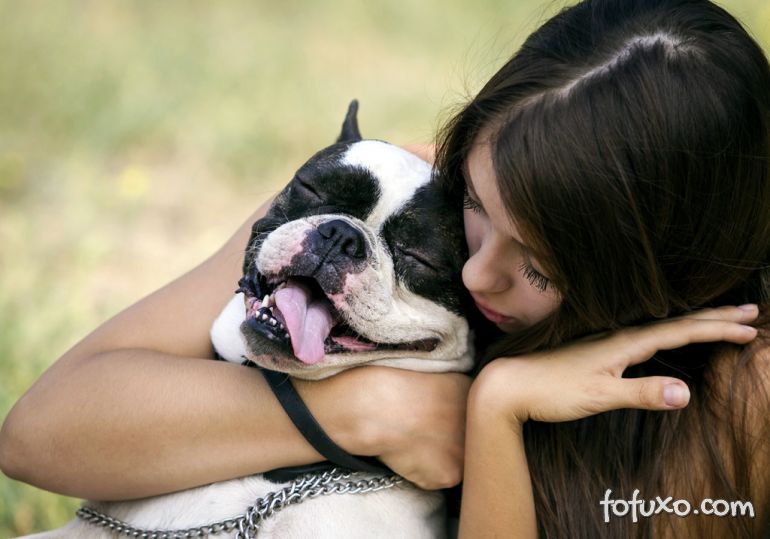 Estudo indica que cães interagem melhor com humanos do que com outros cães