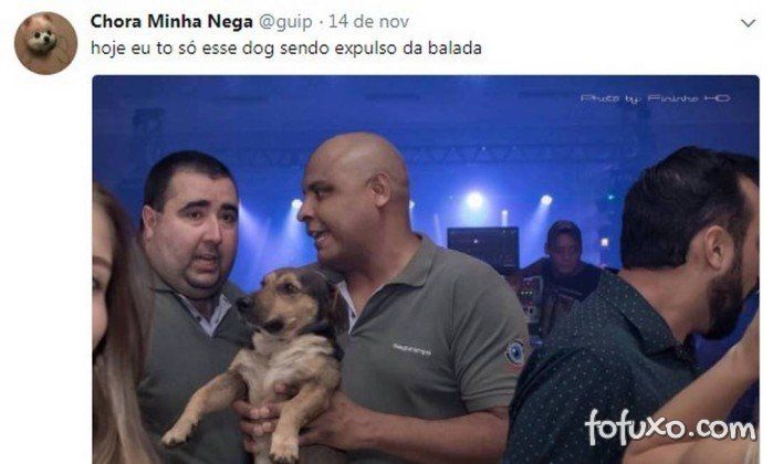 Foto de cachorro penetra de festa viraliza na internet