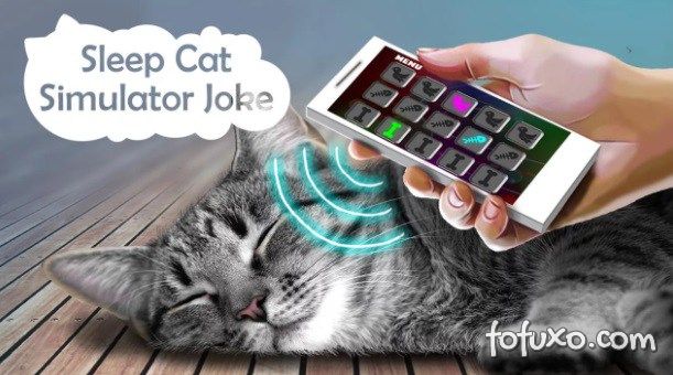 Confira alguns aplicativos interessantes para o seu gato