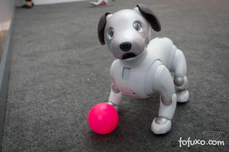 Conheca O Novo Cachorrinho Robo Da Sony Curiosidades