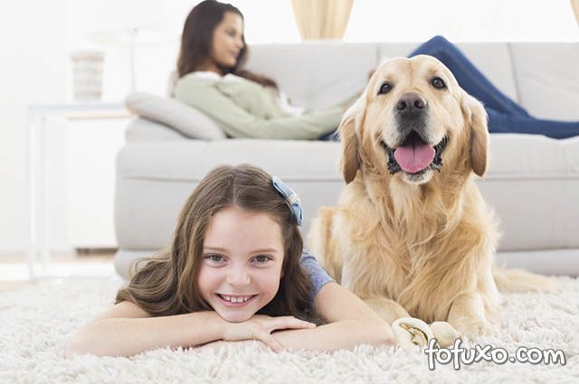 Confira algumas dicas de decoração para donos de cães
