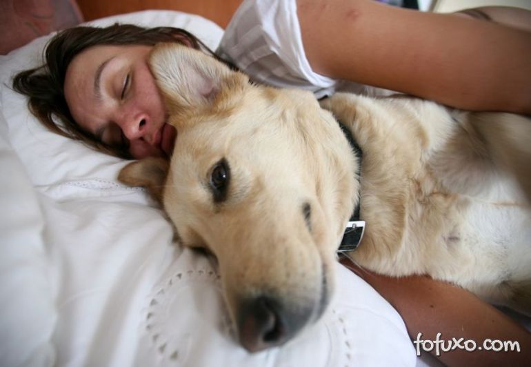 Saiba se é uma boa ideia dormir com o seu cão na cama