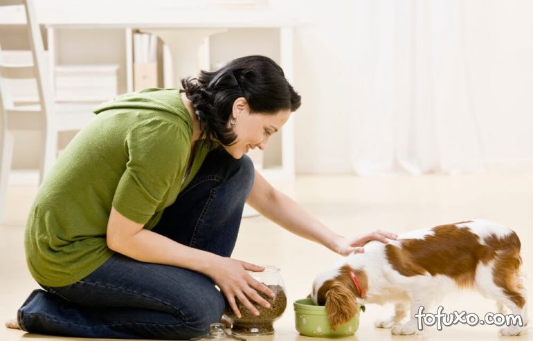 Como oferecer petiscos ao cão sem comprometer a saúde dele?