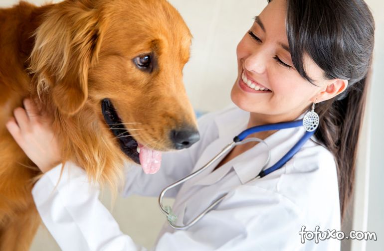 Belo Horizonte vai ganhar primeiro hospital público veterinário
