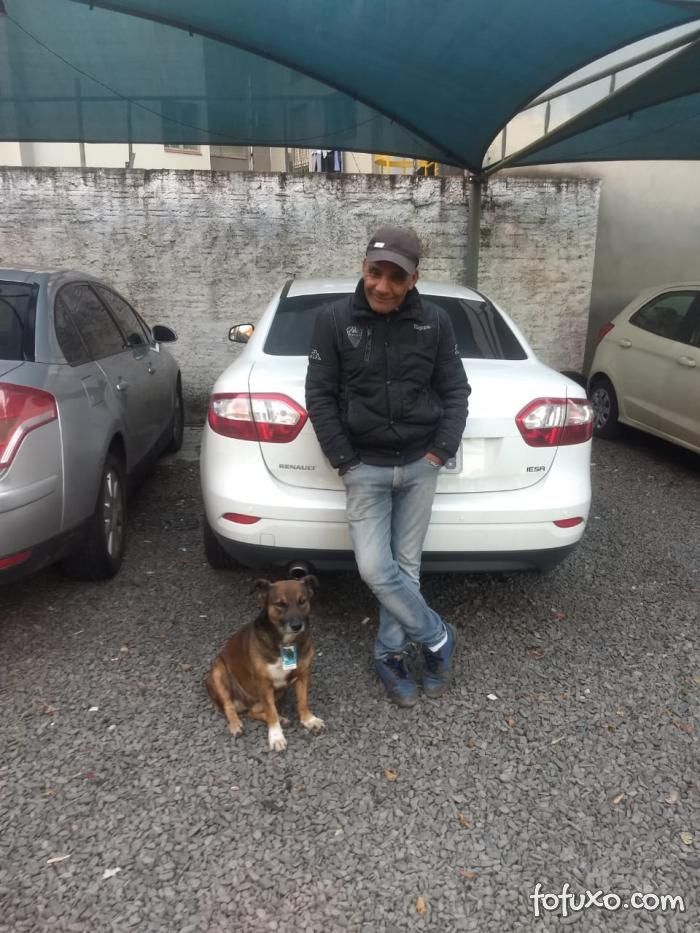 Cachorro vira gerente de estacionamento no Rio Grande do Sul