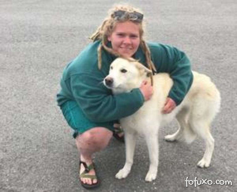 Cachorro ajuda a resgatar mulher que caiu em rio no Alasca