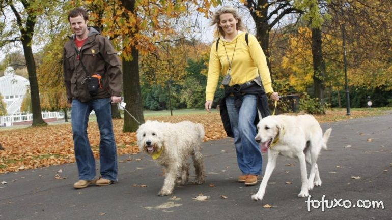 5 Dicas para facilitar o passeio com cachorro