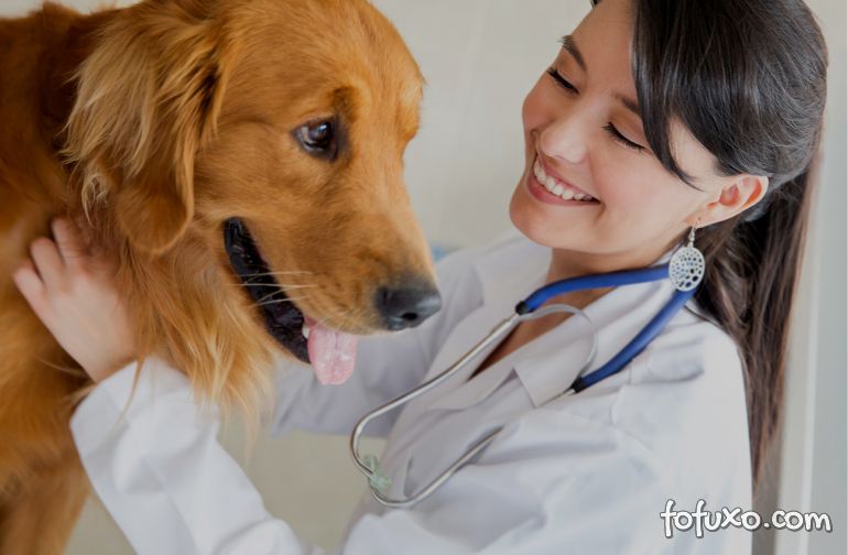 Dicas para escolher um veterinário
