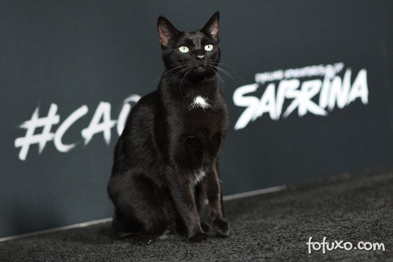 Salem foi a grande estrela de evento de lançamento de nova série de Sabrina