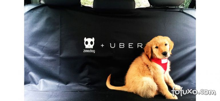 Dicas para levar cachorros no Uber