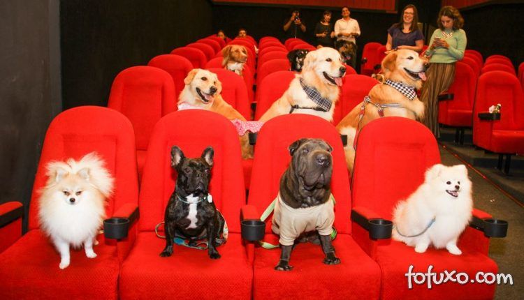 Cinemas começam a deixar pessoas levar seus cachorros