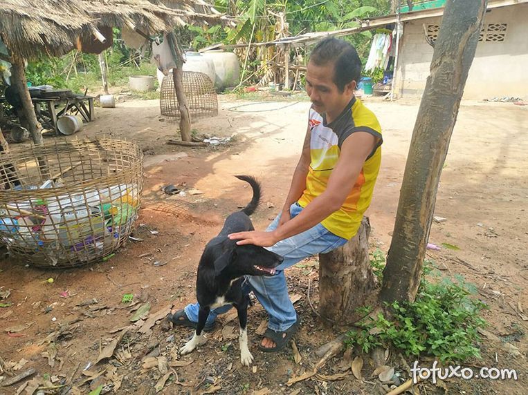 Cachorro na Tailândia é considerado herói depois de salvar bebê