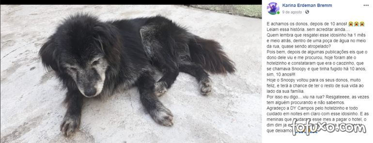 Família reencontra cão que fugiu de casa há 10 atrás