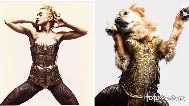 Instagram faz sucesso com cachorro replicando poses de Madonna 2