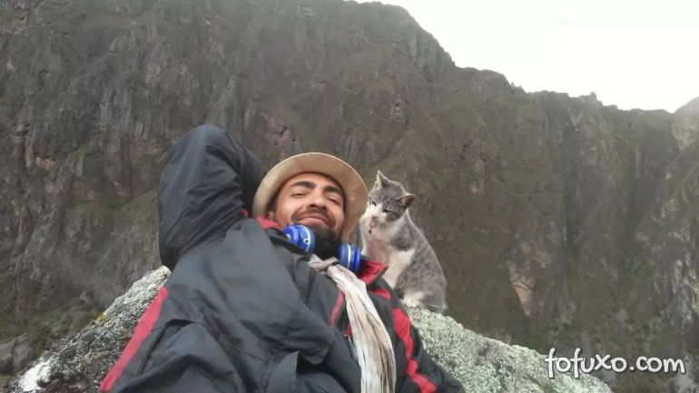 Gato mochileiro viaja com seu dono pela América do Sul