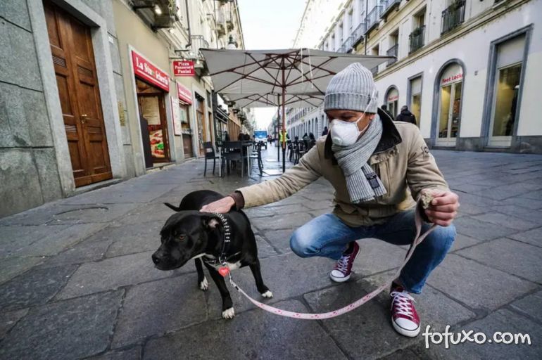 Hong Kong isola cachorro que deu positivo para teste do Coronavírus
