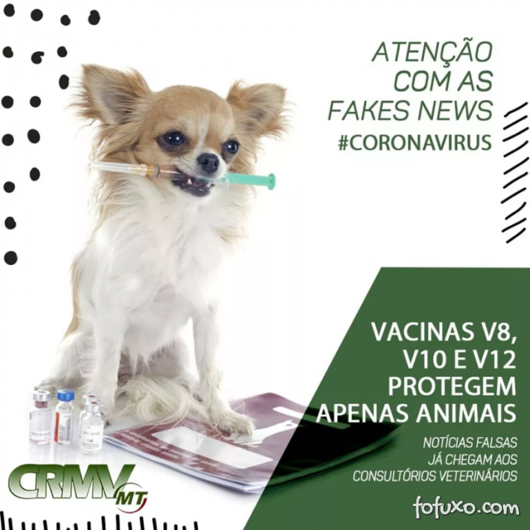 Fake News: Vacina para cachorro NÃO combate novo coronavírus